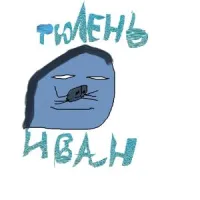 тюлень иван[глорпис]