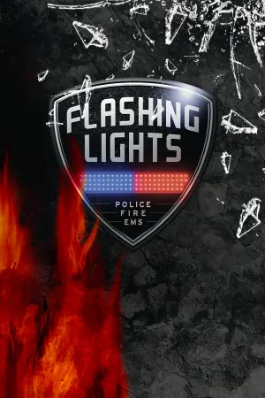 Flashing Lights - Полиция，Пожарные，Симулятор экстренных служб
