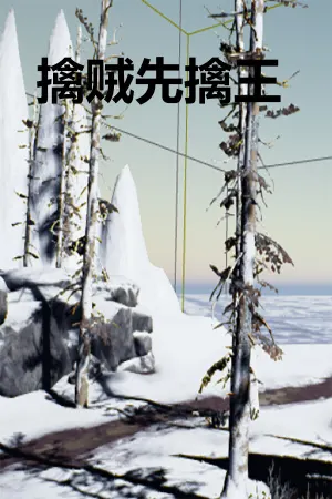 Qin Zei Xian Qin Wang
