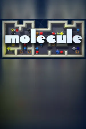 Molecule - a chemical challenge