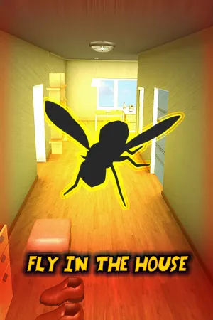 Fly in the House
