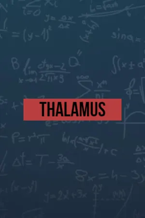 Thalamus