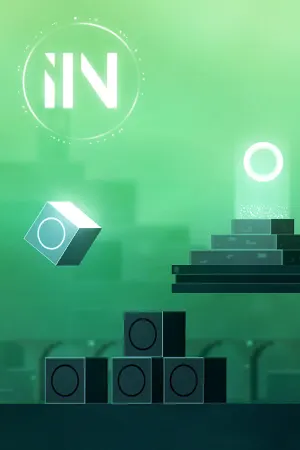 IIN