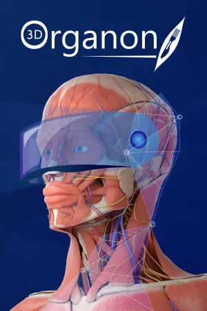 3D Organon XR