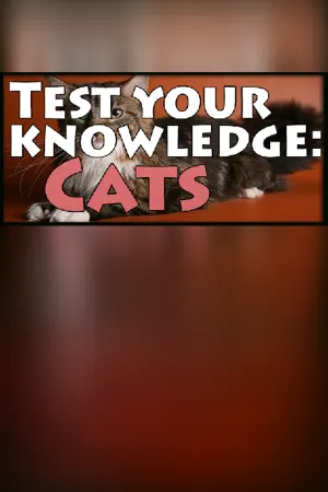 Test your knowledge: Cats