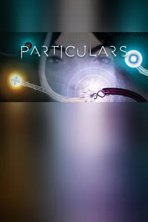 Particulars