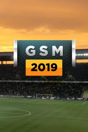 Global Soccer: A Management Game 2019