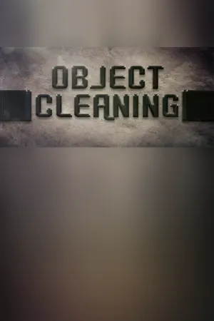 Object "Cleaning"