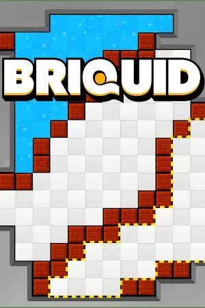 Briquid