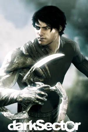 Dark Sector