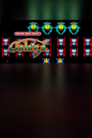 ARCADE GAME SERIES: GALAGA