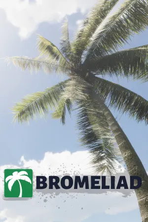 Bromeliad