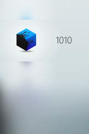 1010