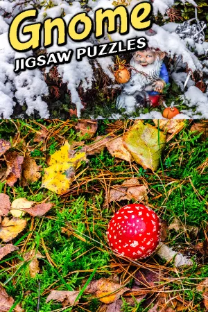 Gnome Jigsaw Puzzles