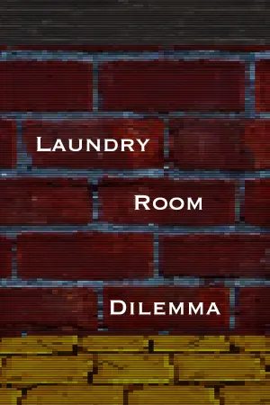 Laundry Room Dilemma