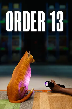 ORDER 13