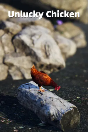 Unlucky Chicken