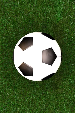 Score a goal 2 (Physical football)