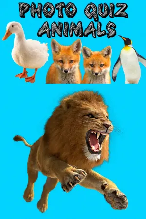 Photo Quiz - Animals