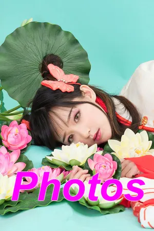 Photos