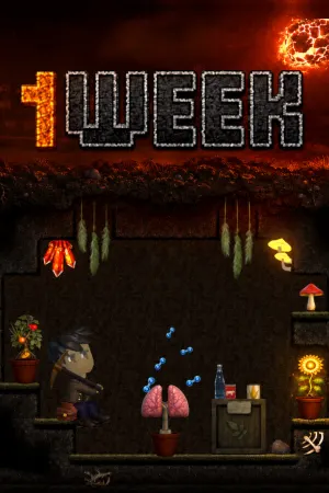 1WEEK