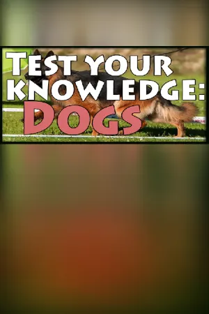 Test your knowledge: Dogs