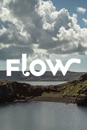 Flow