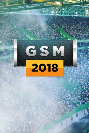 Global Soccer: A Management Game 2018