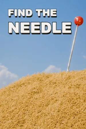Find The Needle