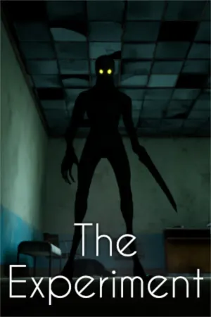 The Experiment
