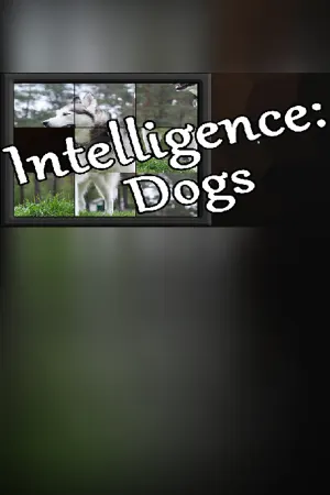 Intelligence: Dogs