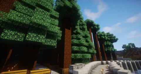 Minecraft